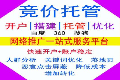 互联网公司SEM代运营成功案例剖析